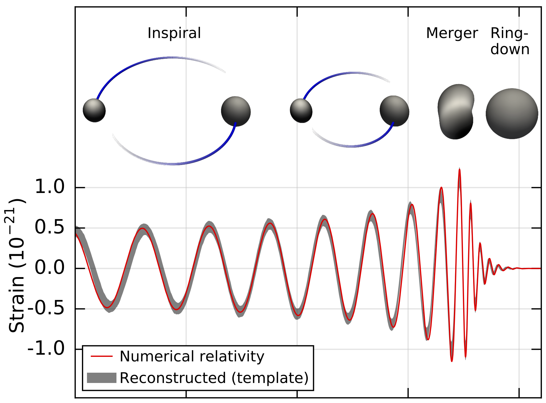 GW_Simulation based on NR