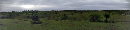 Post Monsoon