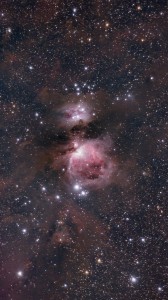 ORION NEBULA
Jaasim Mulla